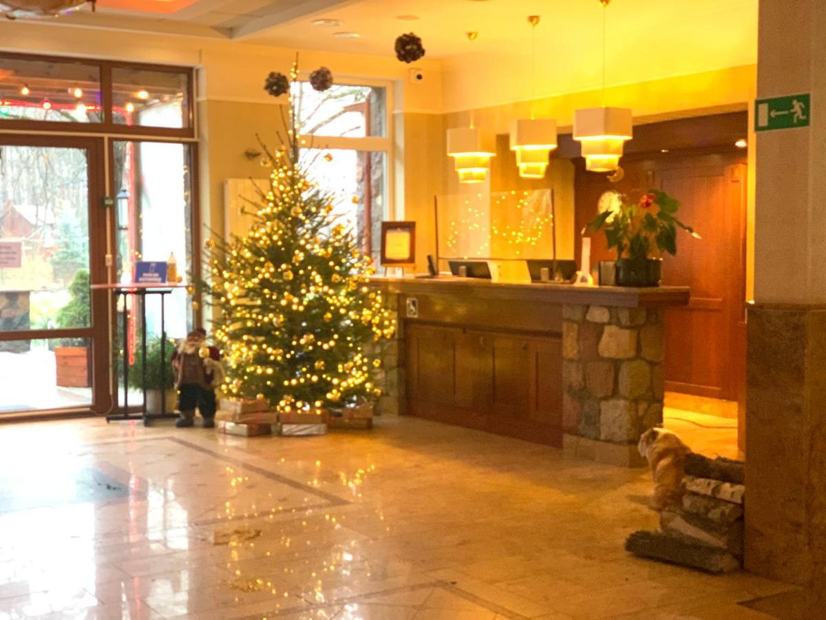 Hotel Albatros Serwy Buitenkant foto